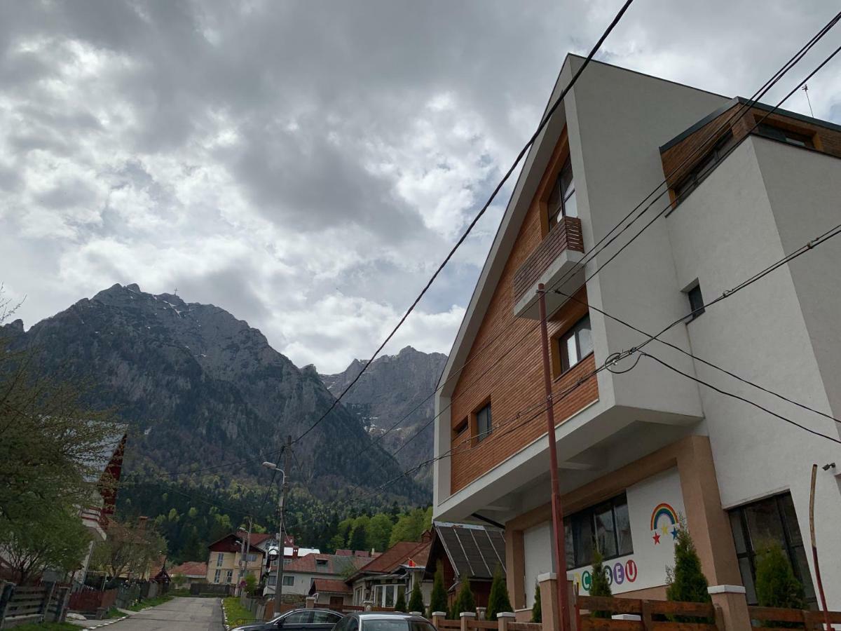 Vila Curcubeu Hotel Busteni Bagian luar foto