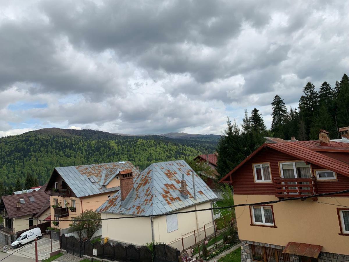 Vila Curcubeu Hotel Busteni Bagian luar foto