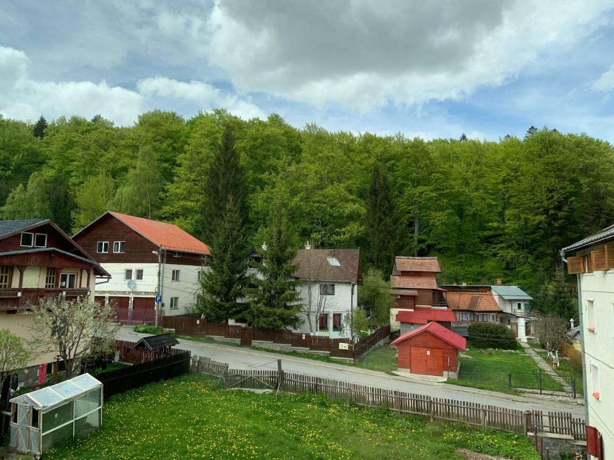 Vila Curcubeu Hotel Busteni Bagian luar foto