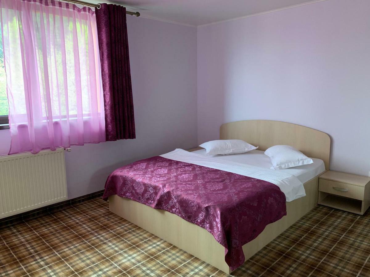 Vila Curcubeu Hotel Busteni Bagian luar foto