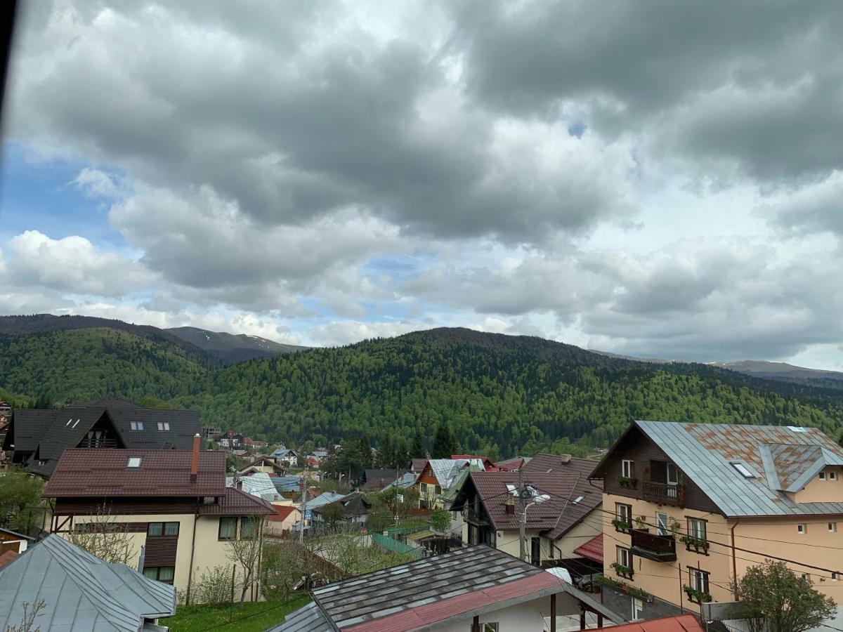 Vila Curcubeu Hotel Busteni Bagian luar foto